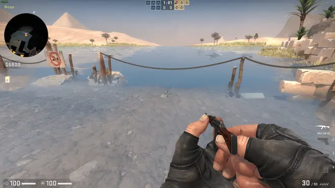 AvirA | Biggest External CS:GO Cheat (WH, AIM, Trigger) Screenshot 4