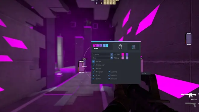 W1nner.pw — Free CSGO Cheat Download Screenshot 1