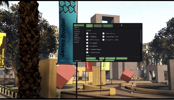 YimMenu — GodMode, Noclip, Freecam Mod Menu GTA 5 Screenshot 3
