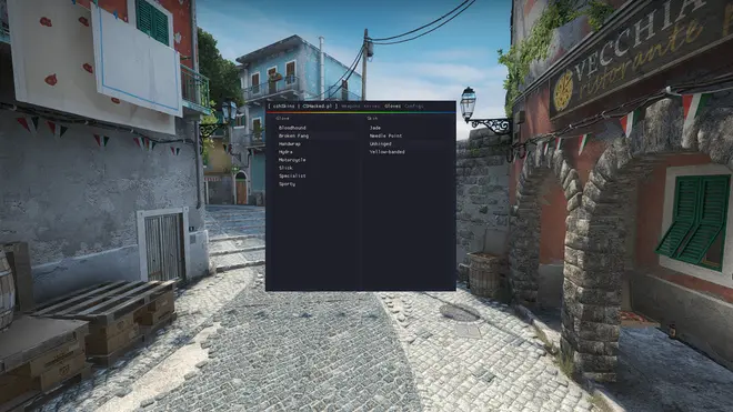 CS:GO Skinchanger Free Download — cshSkins